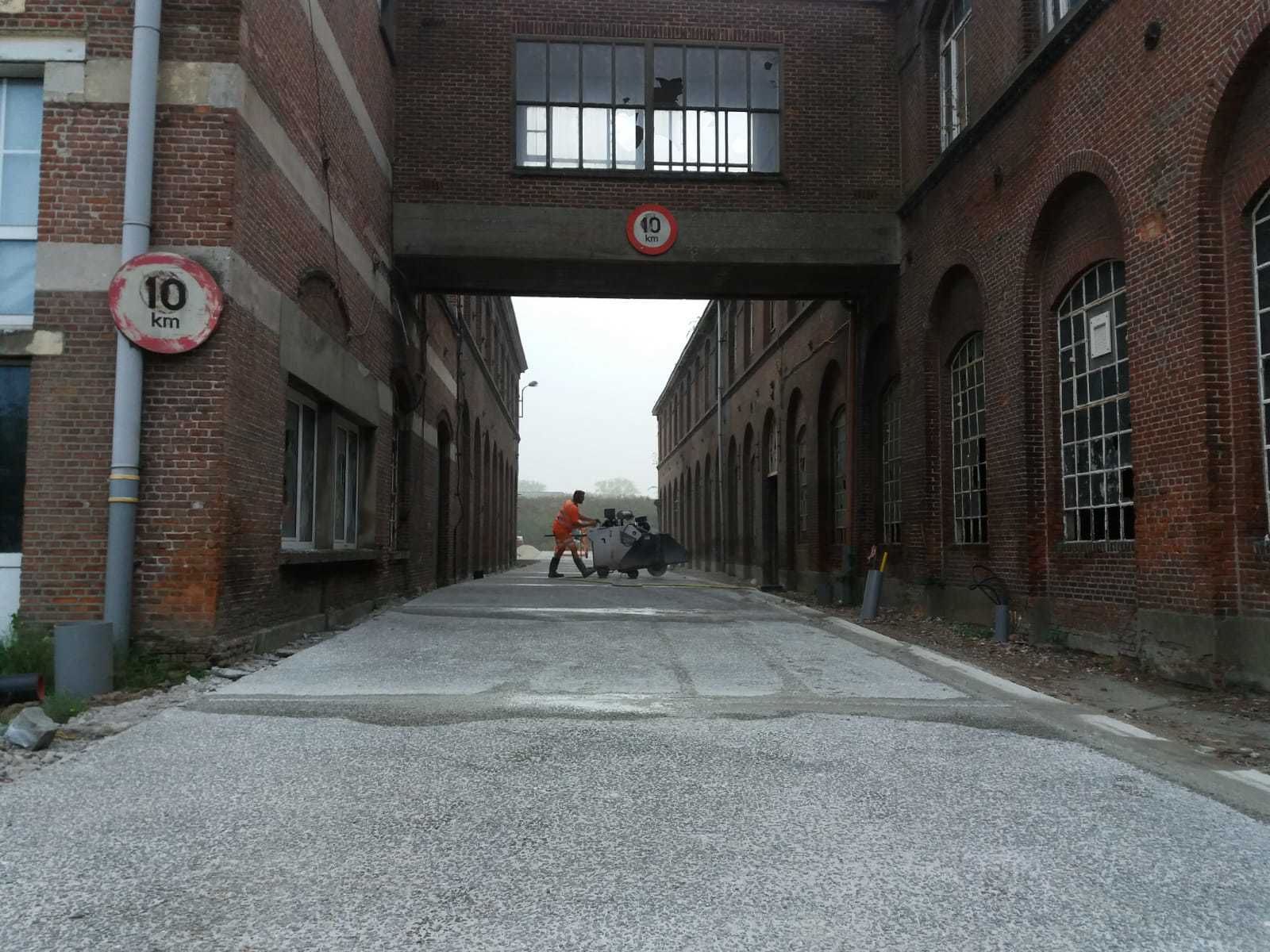 Zagen in Willebroek